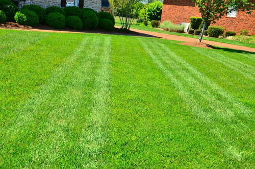 lawn mowing quad cities & henry county